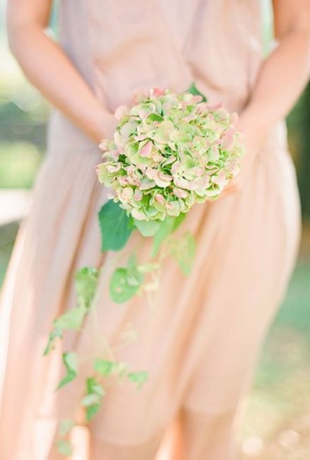 casamento campo