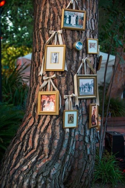 casamento campo