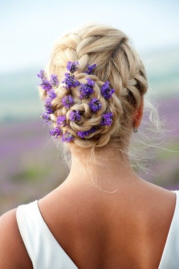 lavanda flor