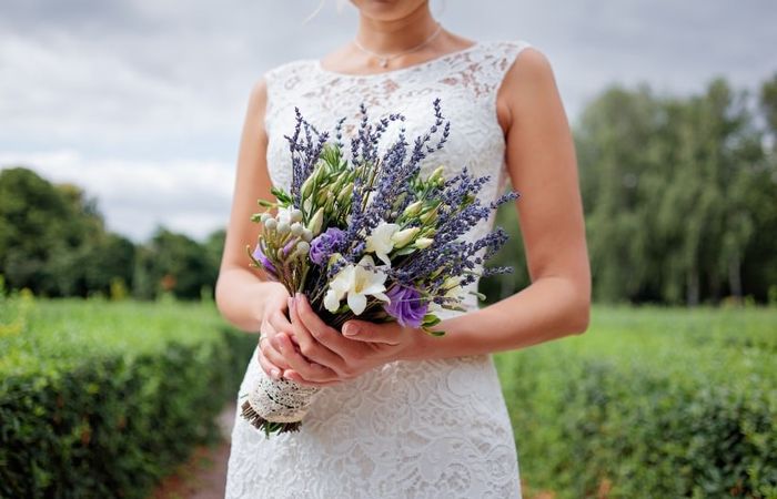 lavanda flor