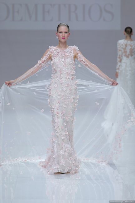 cauda vestido