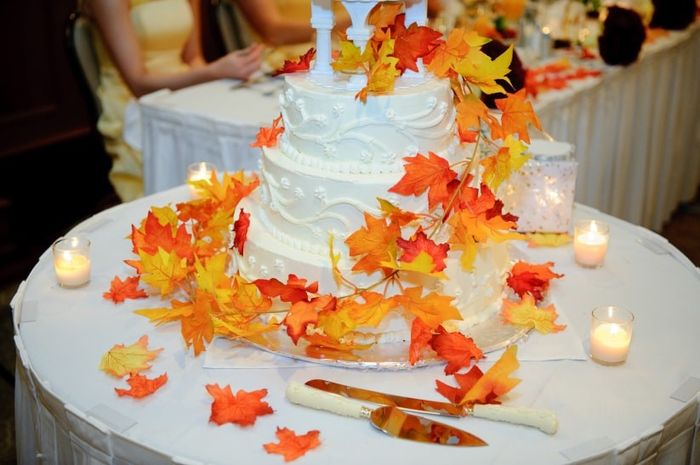 dovita bridal