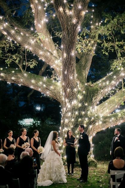 Ideias para a decoração das árvores do vosso casamento 🌲 1