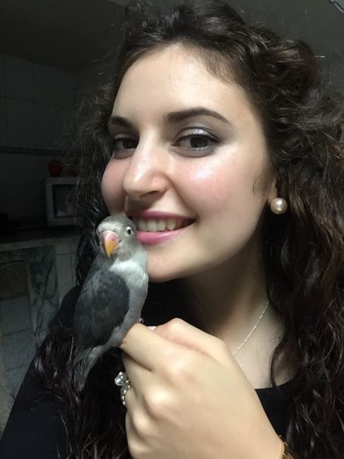 Quem vai ter animal de estimação no casamento? - 1