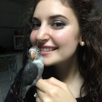 Quem vai ter animal de estimação no casamento? - 1