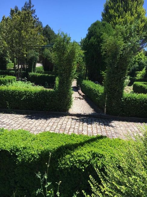 Quinta da Dança