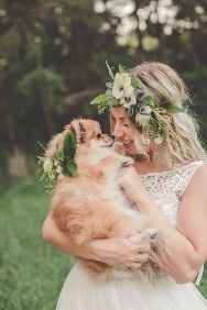 Dog & Brides