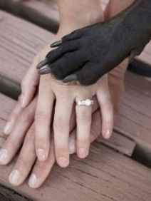 Dog & Brides
