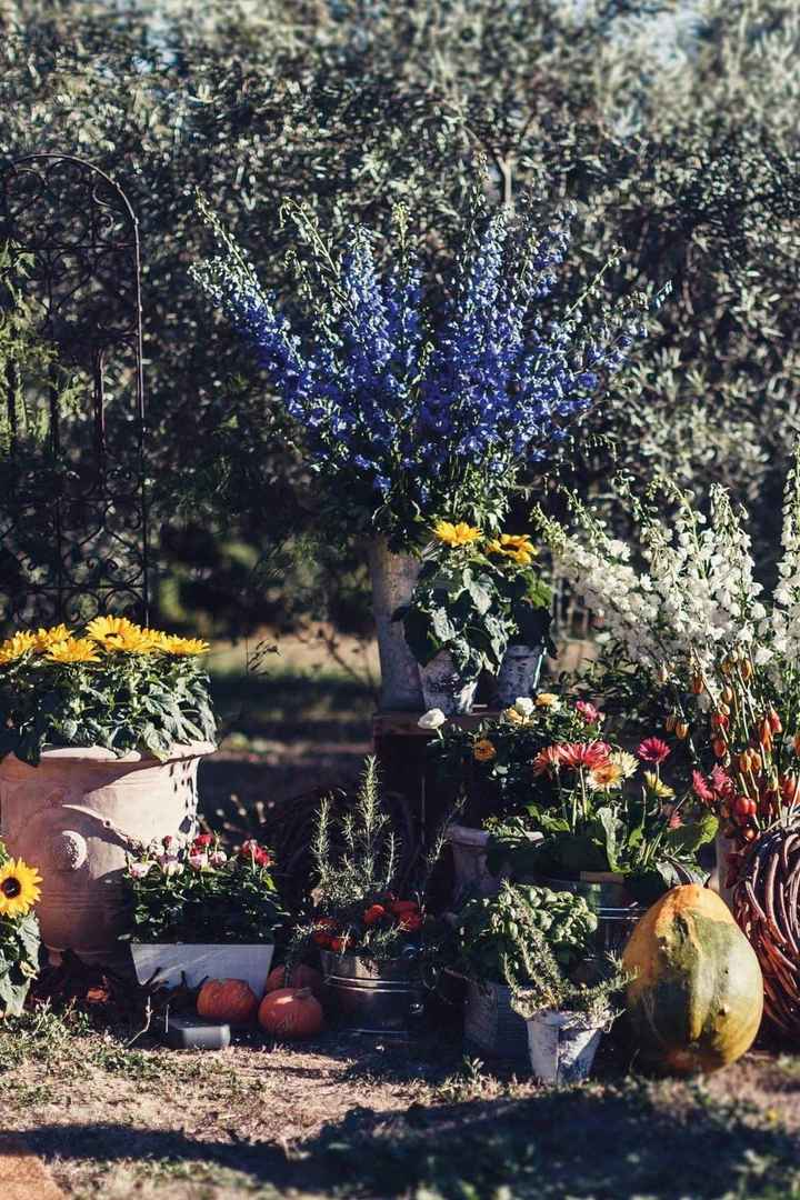 rustic-french-wedding