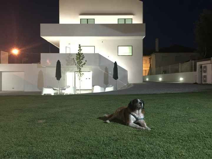 Amipet - Hotel Canino
