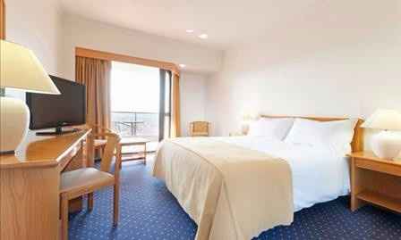 Hotel Tryp Colina do Castelo
