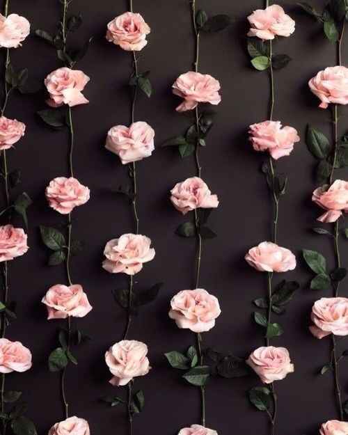 Para o photobooth um fundo muito chique com rosas e uns acessórios um pouco "Paris"