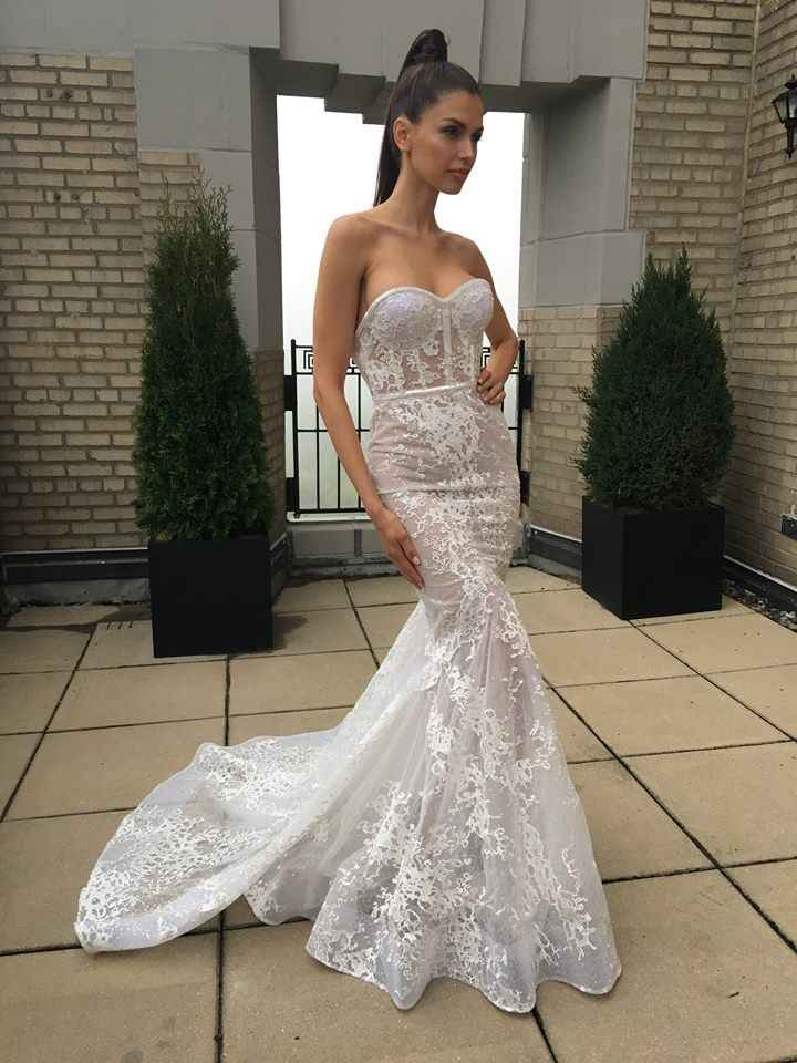 berta 5