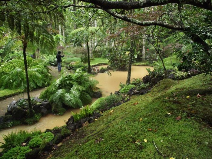 açores