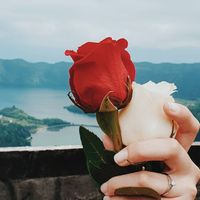 Mostra-nos o teu anel de noivado 😍💍 - 1