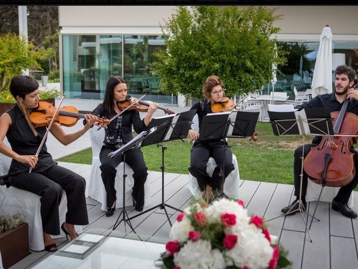 String Quartet Solutions