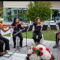 String Quartet Solutions