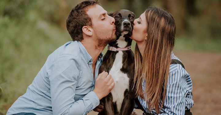 Fotografias incríveis com os vossos patudos! 🐶🤎 - 1