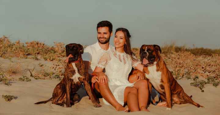 Fotografias incríveis com os vossos patudos! 🐶🤎 - 2