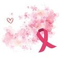 Outubro Rosa 💗 a lingerie de núpcias que ajuda na luta contra o cancro da mama! 5