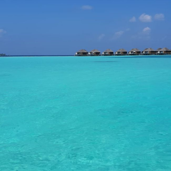 Inspirações lua de mel 🌙 3