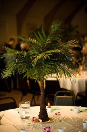 Tropical