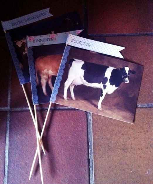 Tema vacas 