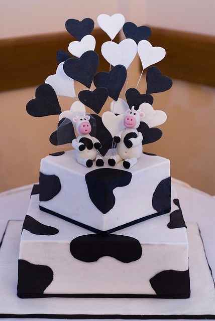 Tema vacas 