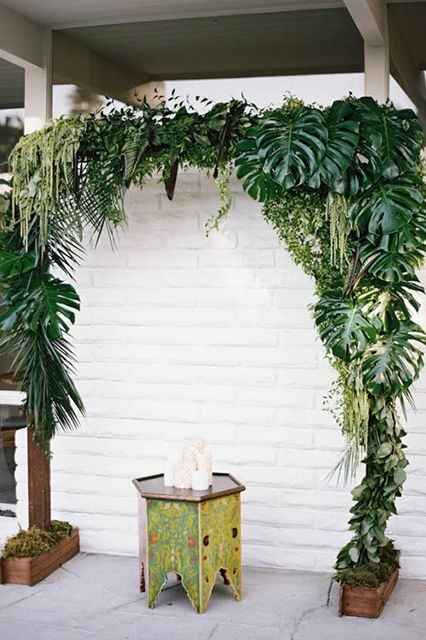 Tropical