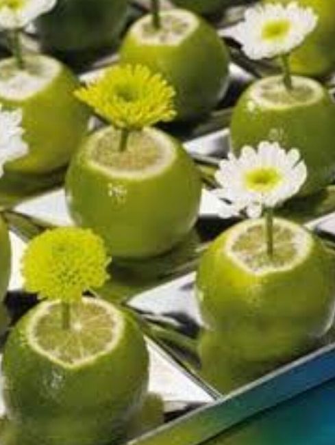 Tema Casamento Vegetais - 11