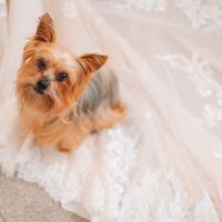 Animais de estimação no dia C: qual a foto mais fofinha? 💕 - 1