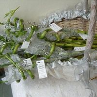 Lembranças