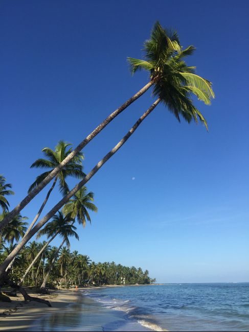 Lua de Mel 🇩🇴 - 2