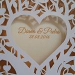 Diana & Pedro