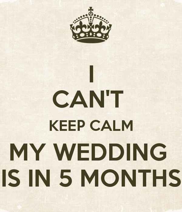 5 meses