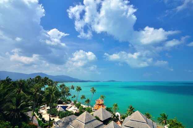 Paradise 