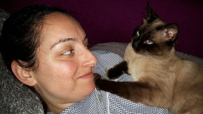 Não resisti, deixo-vos aqui a fofura do meu gato - 3