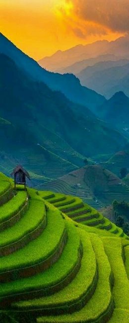Vietname - 5