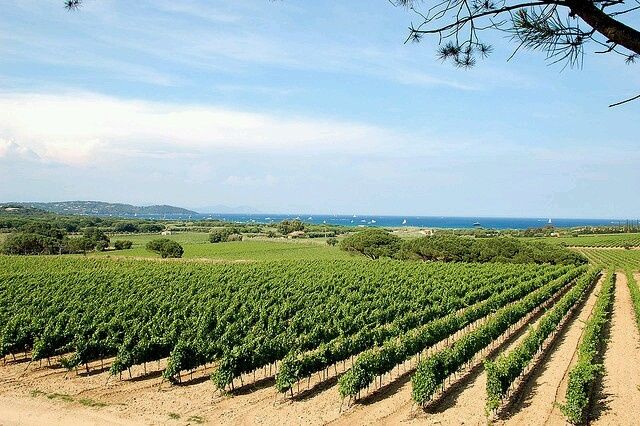 St.tropez - frança - 37