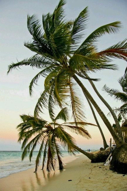 Lua de mel - punta cana - 8