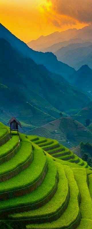 Vietname - 5