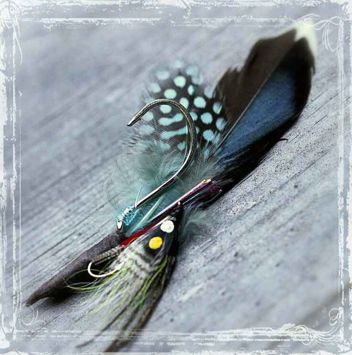 Pesca - 14