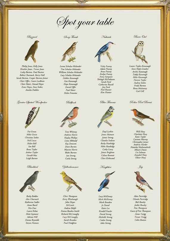 Tema casamento love birds - 8
