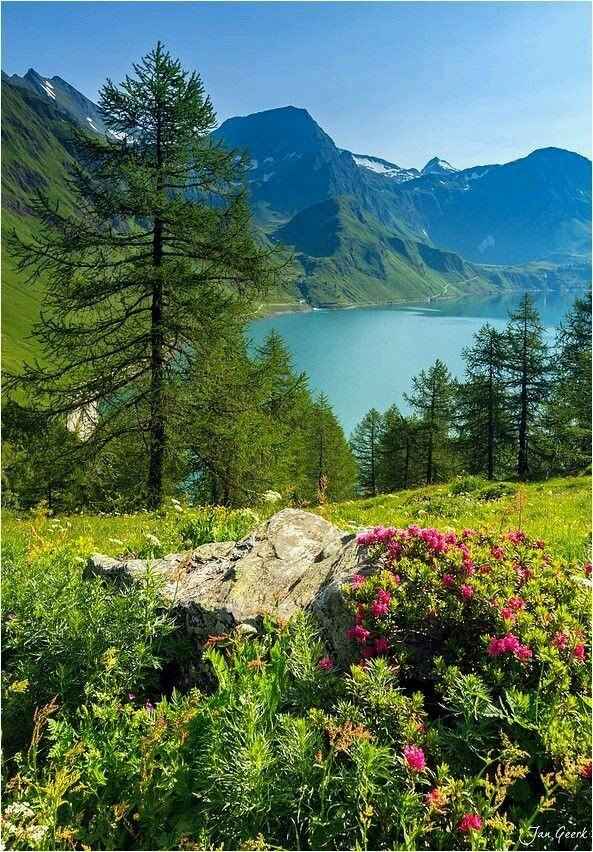 Suíça  e os lindíssimos  alpes - 5