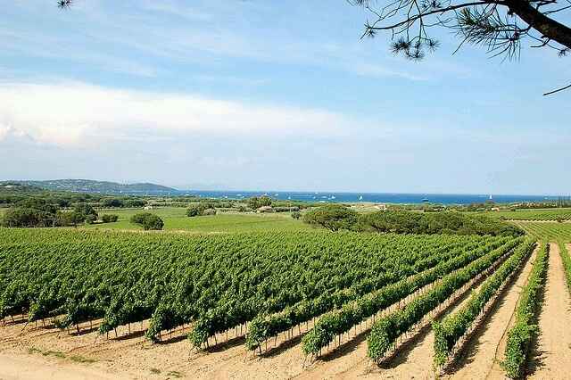St.tropez - frança - 37