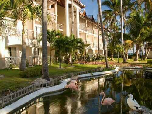 Lua de mel - punta cana - 2