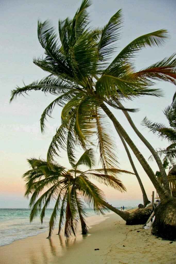 Lua de mel - punta cana - 8
