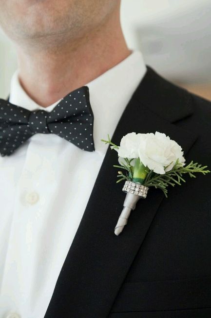 Gravatas e papilons <img class=