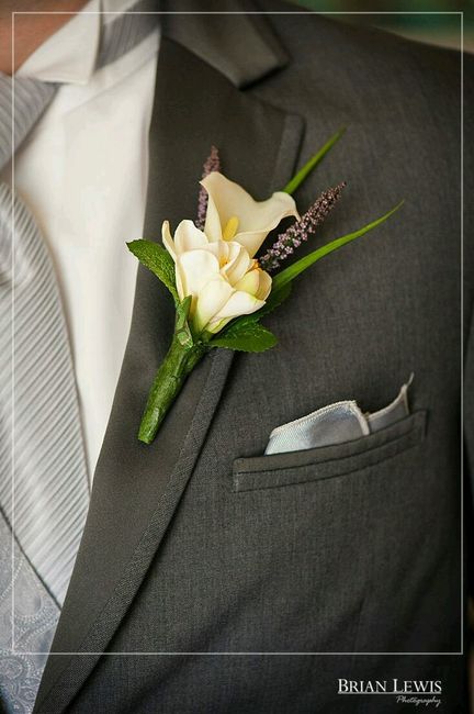 Gravatas e papilons <img class=