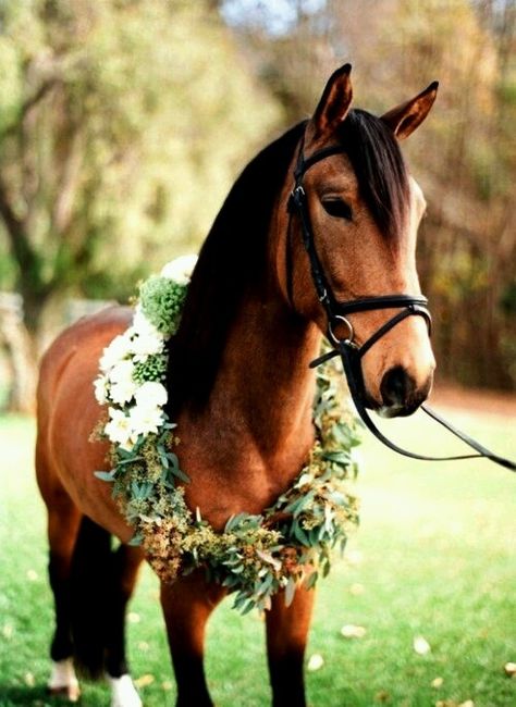Casamento tema cavalos - 16